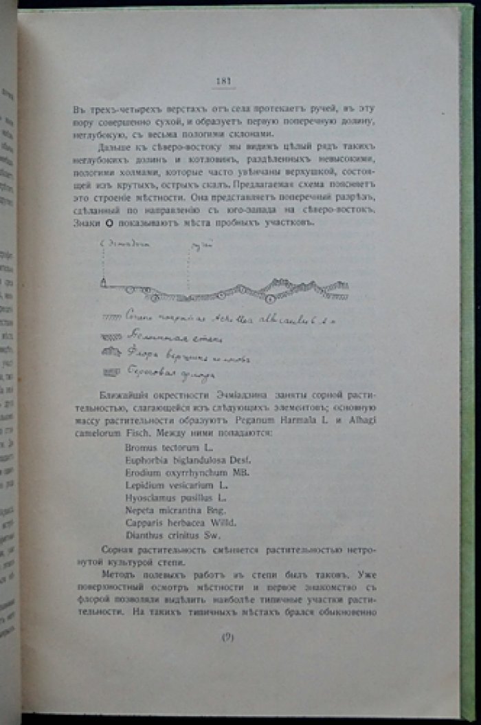 Материалы для флоры Эриванской губернии (малотиражный авторский оттиск с дарственной надписью, 1912)