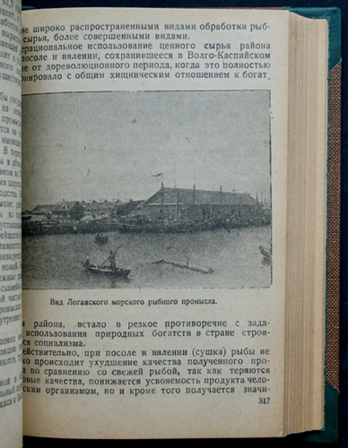 Нижнее Поволжье: социально‑экономические итоги и государственная политика (1921–1933) — справочное издание