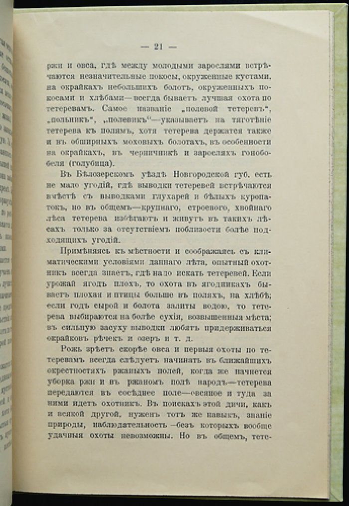 Охота на тетеревей. Очерки и советы охотнику