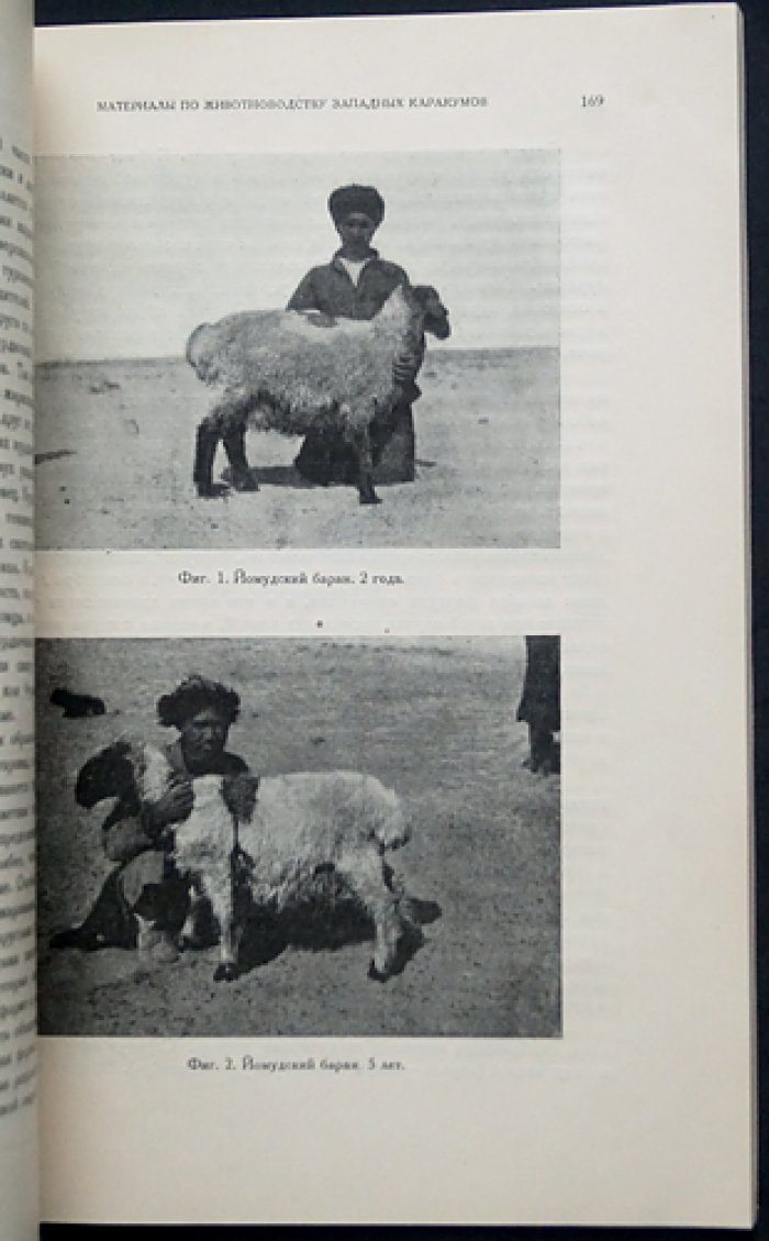 Каракумы: результаты экспедиций 1929 и 1930 годов (Вып. 29. Туркменская серия)