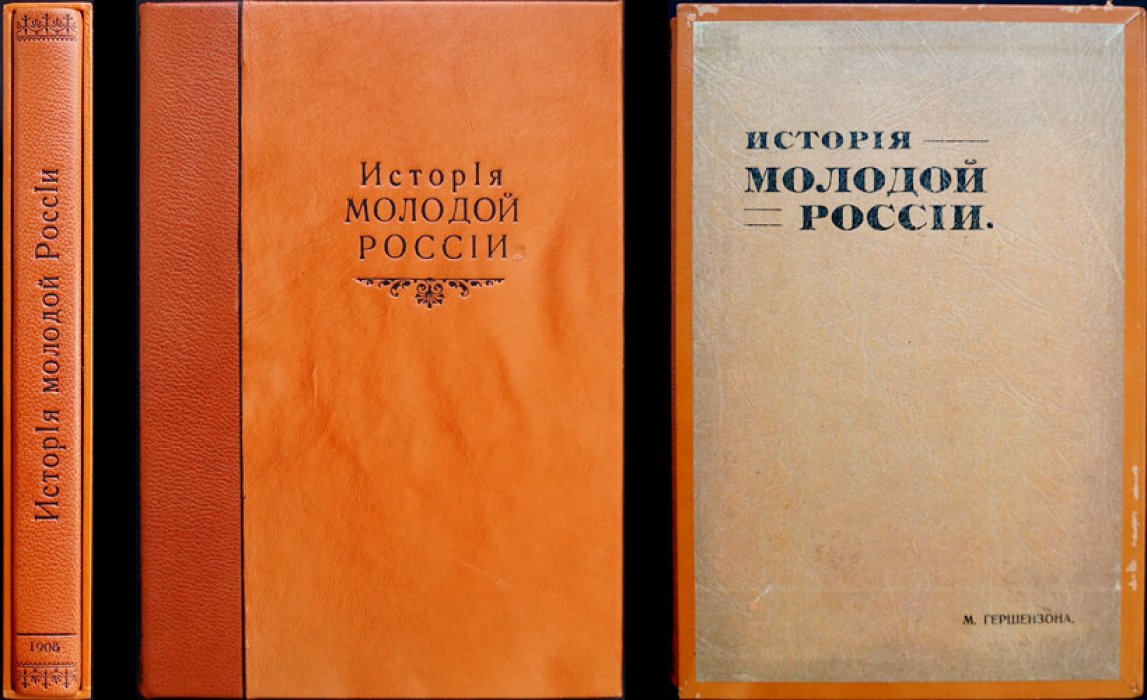 История молодой России. Интеллектуальная жизнь московской интеллигенции первой половины XIX века