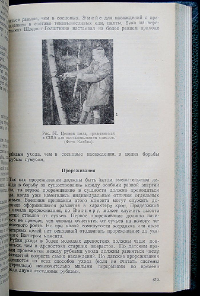Общее лесоводство: учебное пособие