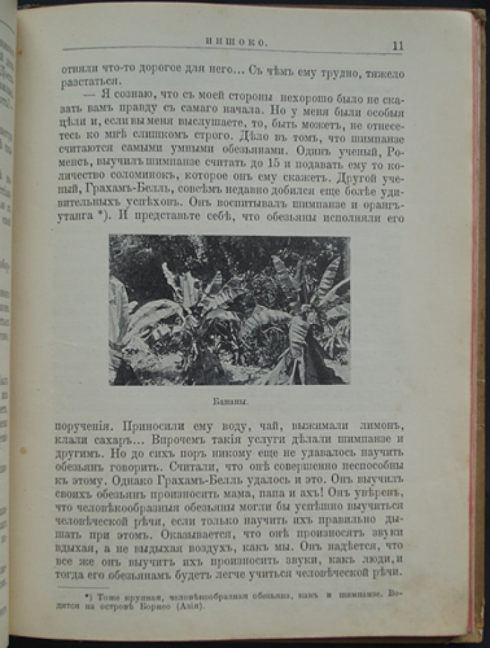 Чеглок. Звери Центральной и Южной Африки: десять рассказов о природе, охоте и редких обитателях (с иллюстрациями Н. Зеддлера)
