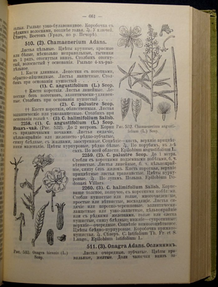 Флора Европейской России. Иллюстрированный определитель дикорастущих растений Европейской России и Крыма (Федченко, Флеров)