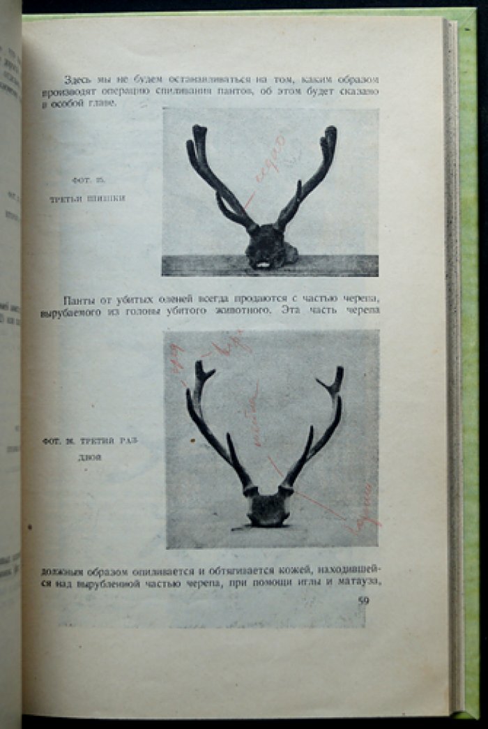 Менард Г.А. Пантовое хозяйство: разведение и содержание пятнистого оленя (практическое руководство)