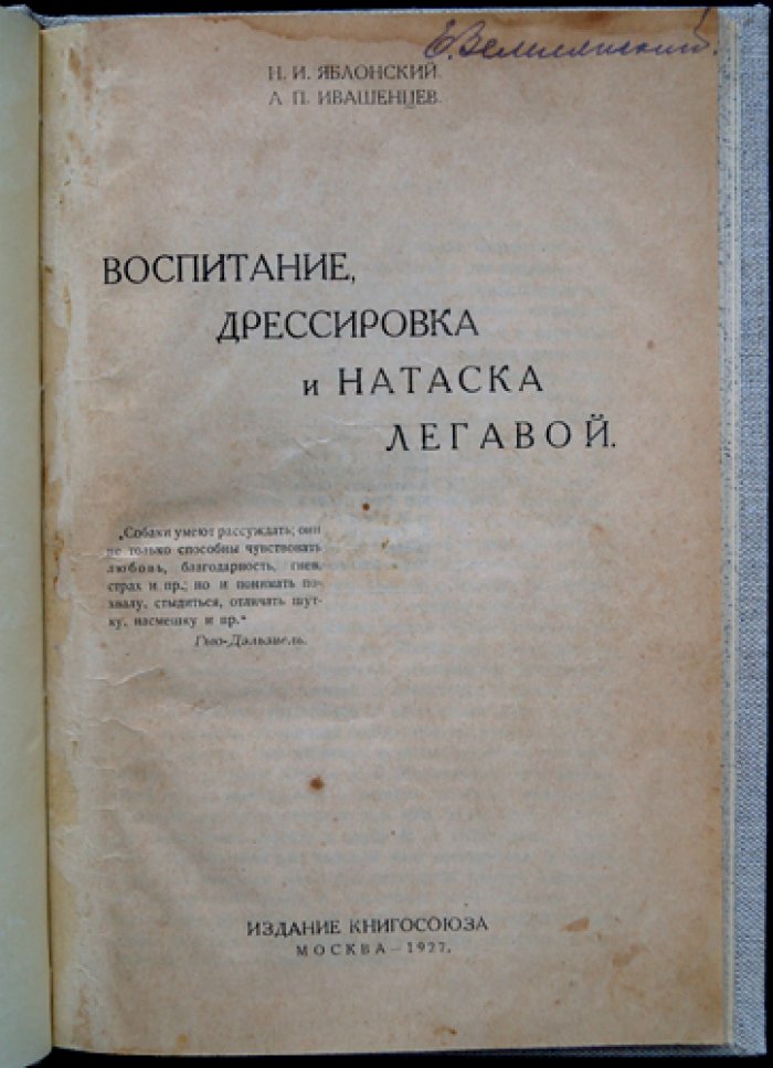 Воспитание, дрессировка и натаска легавой: практическое руководство для владельца и охотника