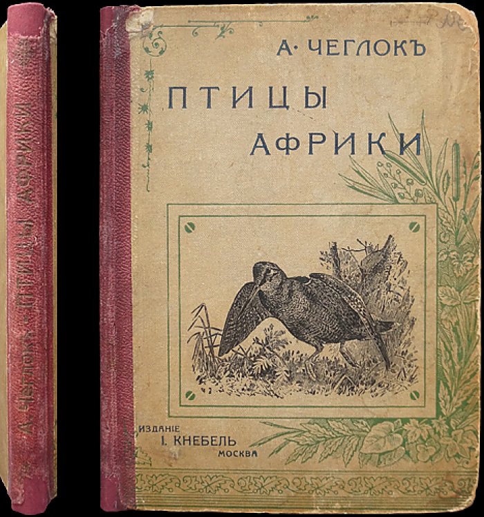 Чеглок. Птицы Африки: рассказы о пернатых мирах Земли с иллюстрациями В. А. Ватагина