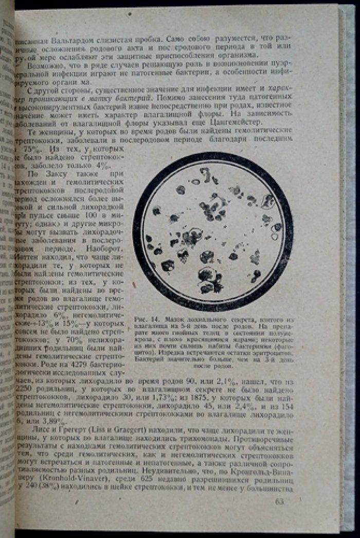 Руководство к изучению лихорадочных послеродовых заболеваний (второе, исправленное и дополненное издание)
