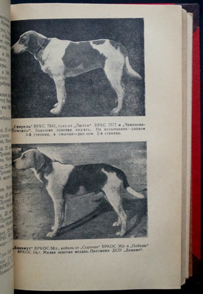 Всесоюзная родословная книга охотничьих собак: 2 тома (издание 1954–1956 гг.)