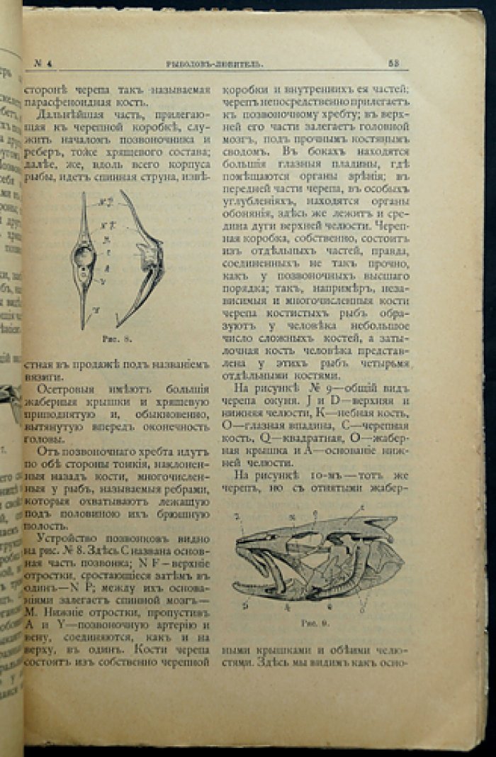 Рыболов-любитель. Ежемесячный иллюстрированный журнал рыболовства и рыбоводства: комплект 1907 года (8 номеров № 3, 4, 5, 6, 9–12)