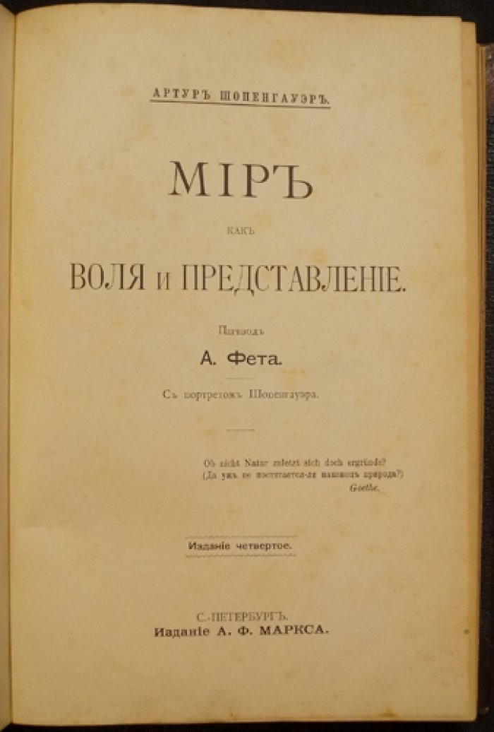 Мир как воля и представление (Шопенгауэр) — философия пессимизма и сути мира