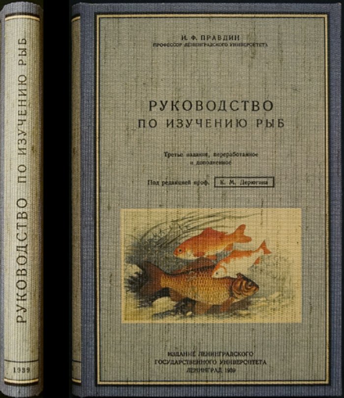 Руководство по изучению рыб: морфология, жизнедеятельность и систематика
