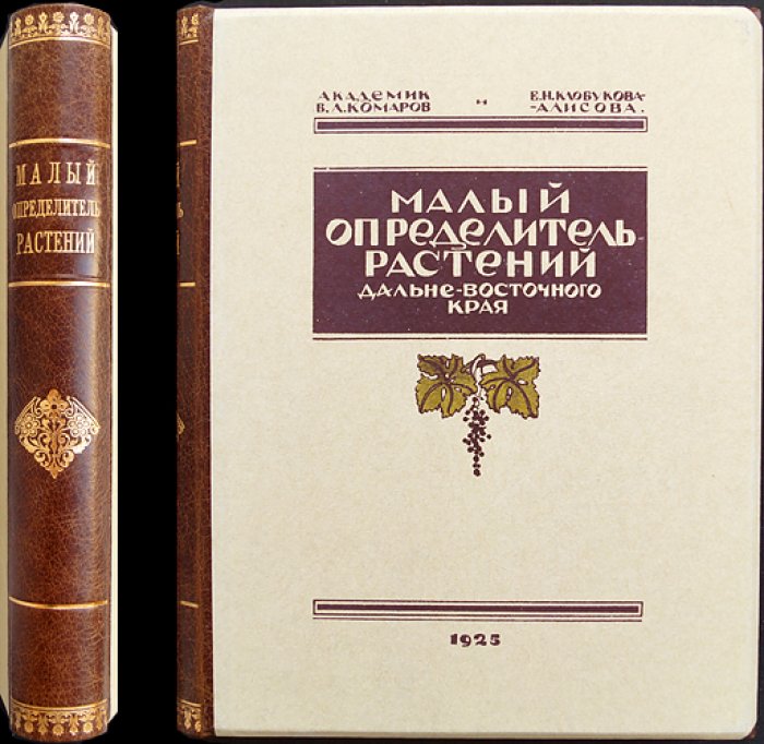 Малый определитель растений Дальневосточного края (для начинающих и широкого круга читателей)