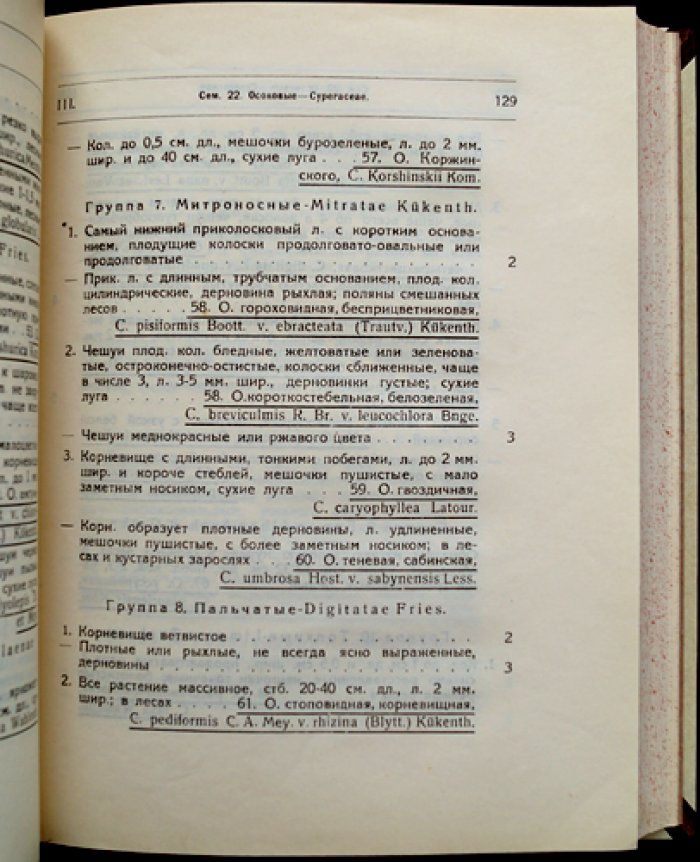 Малый определитель растений Дальневосточного края (для начинающих и широкого круга читателей)