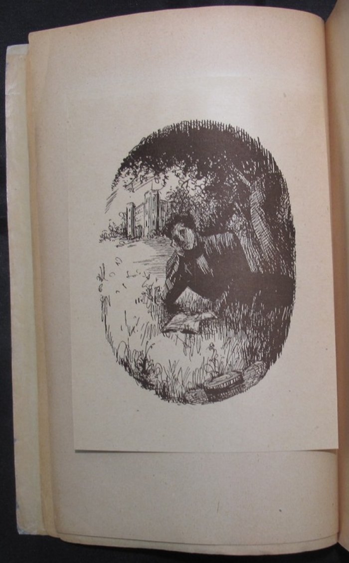 Игорь Северянин. «Падучая стремнина». Роман в двух частях (Берлин, 1922)
