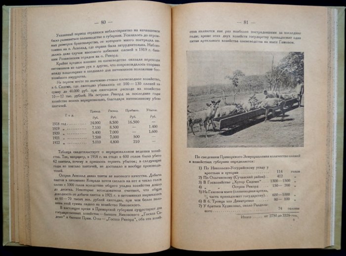 Охота и охотник: сборник статей и рассказов (факсимиле издательской обложки)