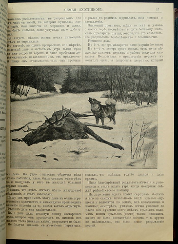 Журнал «Семья охотников» (подшивка): комплект номеров за 1912 год + приложение за 1914 год