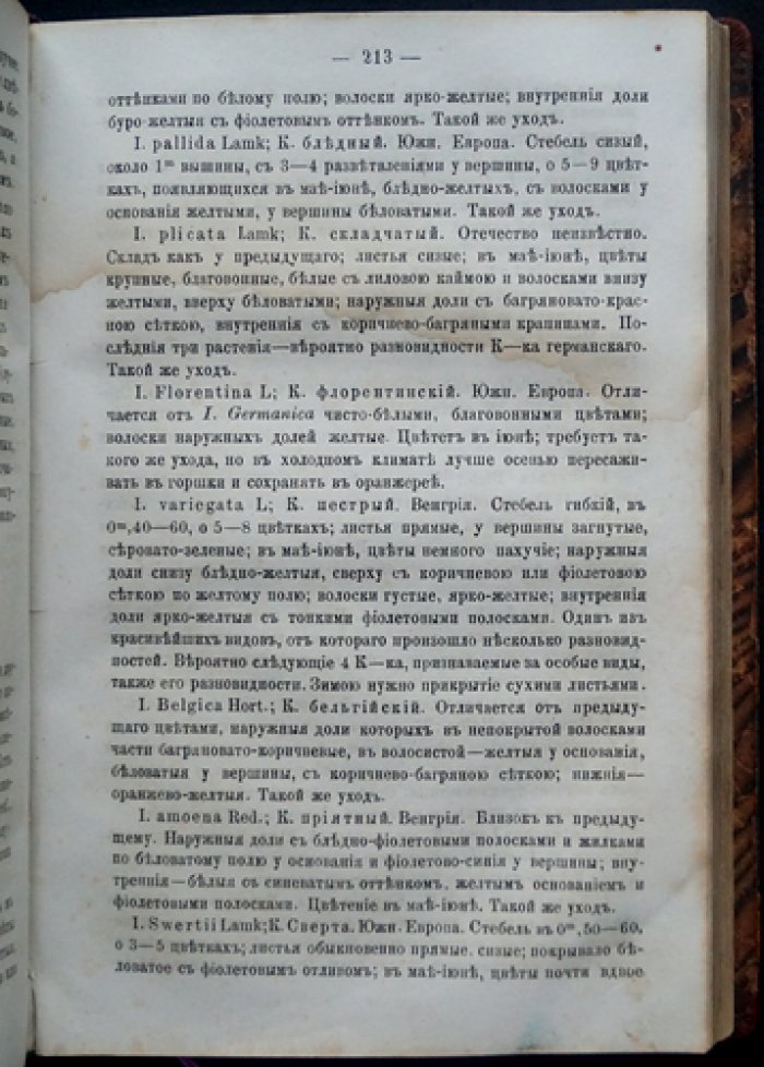 Каменский. Садовник-любитель: воздушные многолетние травянистые растения