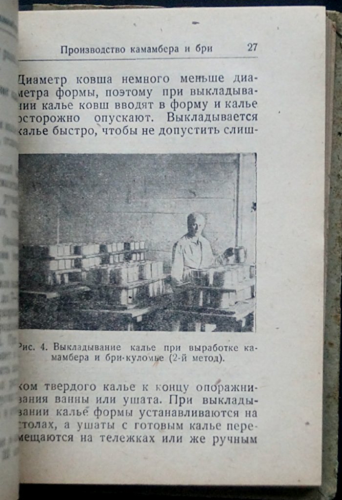 Производство мягких сыров: камамбер, бри, горгонзола и другие сорта — технология и требования к молоку