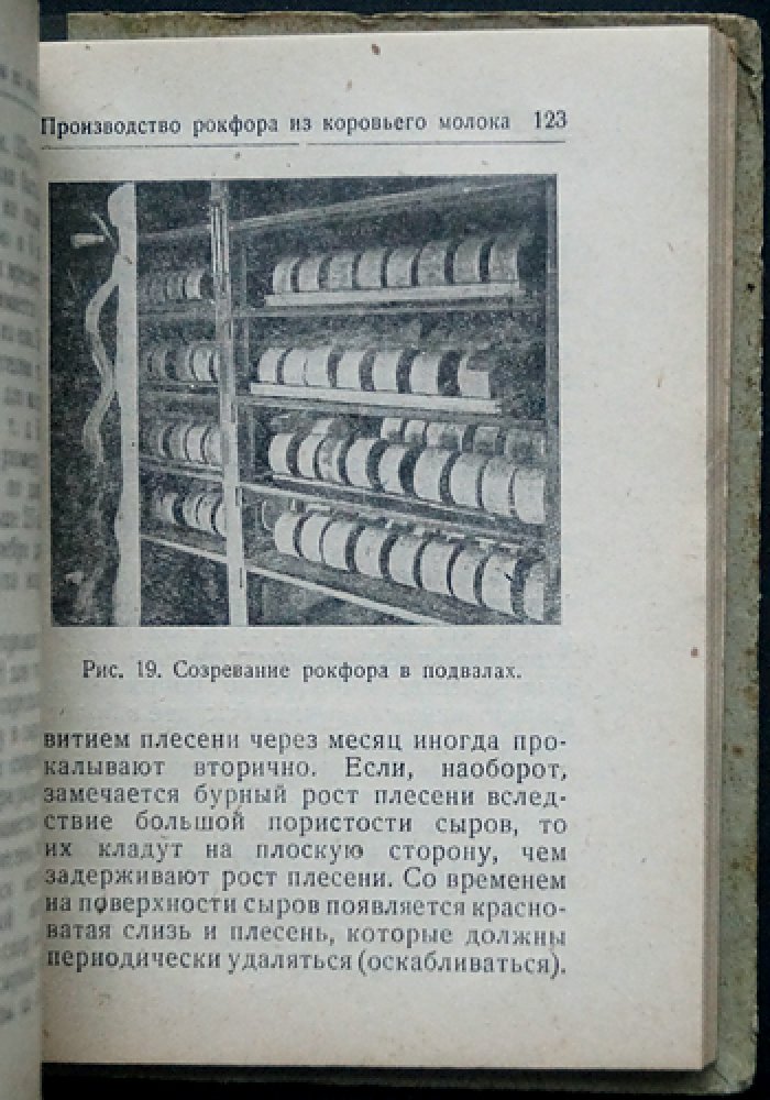 Производство мягких сыров: камамбер, бри, горгонзола и другие сорта — технология и требования к молоку