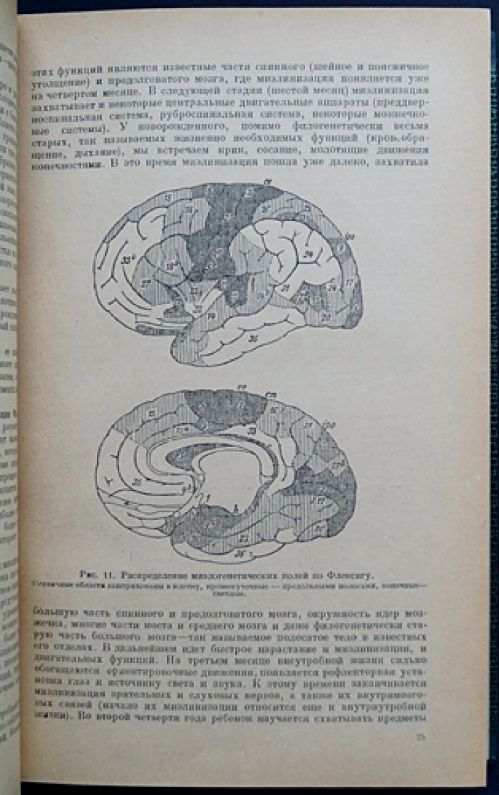 Учебник нервных болезней: в 2 томах. Том I — Общая часть; Том II — Специальная часть (2-е изд., исправленное и дополненное)
