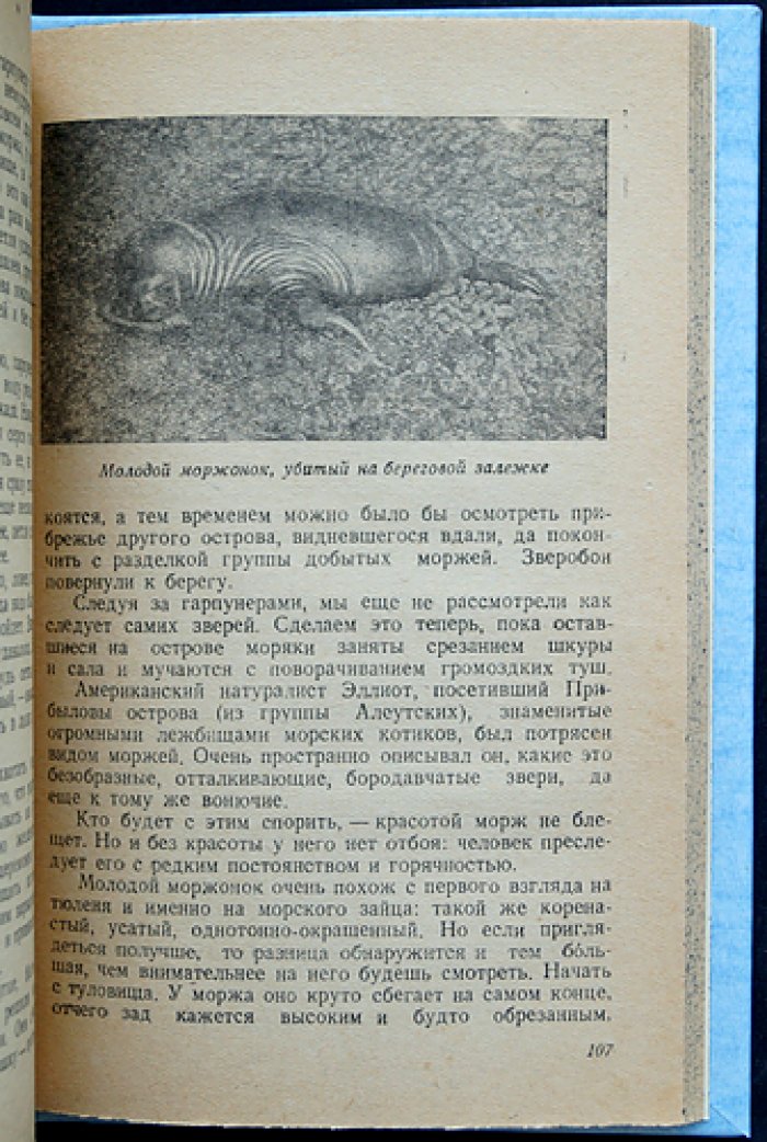За морским зверем: очерки о промысловых зверях Арктики