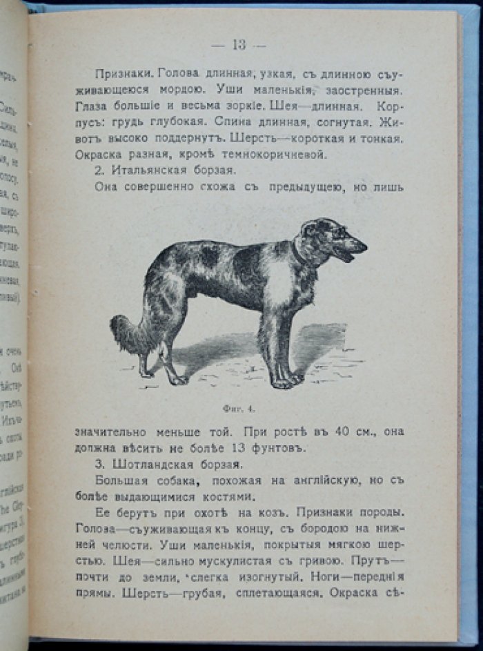 Собака: породы, воспитание, уход, дрессировка и лечение болезней (3-е издание, 1915)