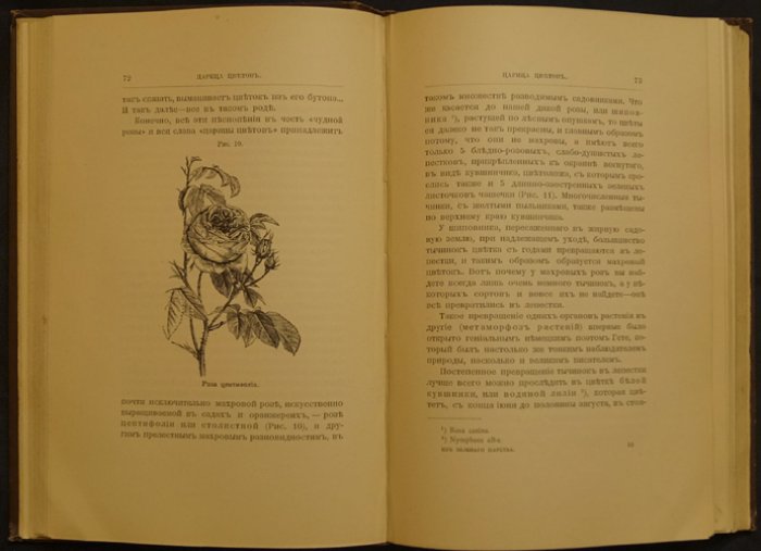 Из зелёного царства. Популярные очерки о мире растений