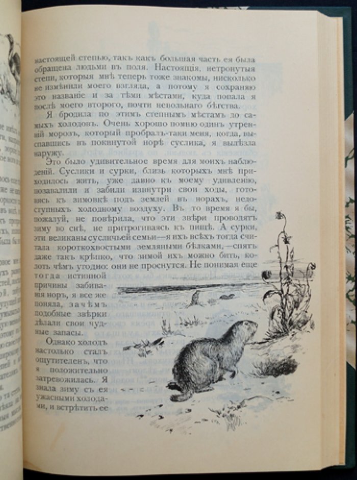 Хруп. Воспоминания крысы-натуралиста