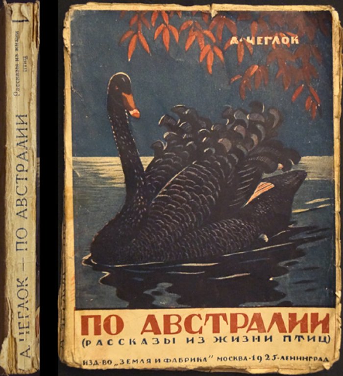 Чеглок. По Австралии: рассказы из жизни птиц