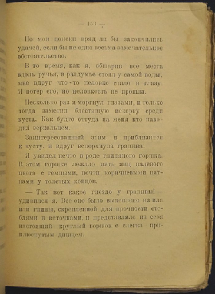 Чеглок. По Австралии: рассказы из жизни птиц