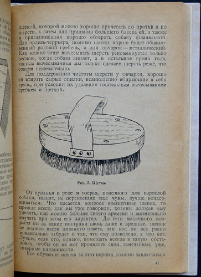 Собака-ищейка и розыск с нею: разведение, уход, воспитание и дрессировка