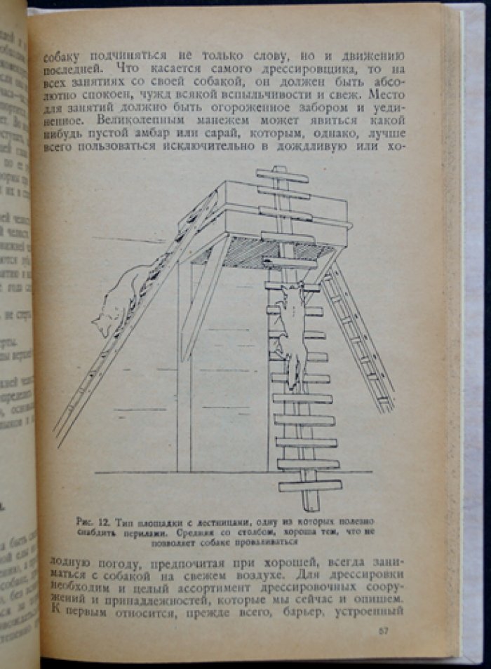 Собака-ищейка и розыск с нею: разведение, уход, воспитание и дрессировка