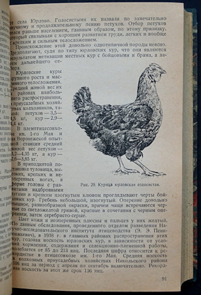 Птицеводство: основы разведения, кормления, содержания и инкубации сельскохозяйственной птицы