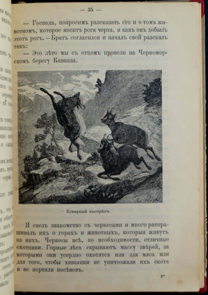Чеглок А. Родная природа. Звери, птицы и гады России. Выпуск 2 (12 рассказов)