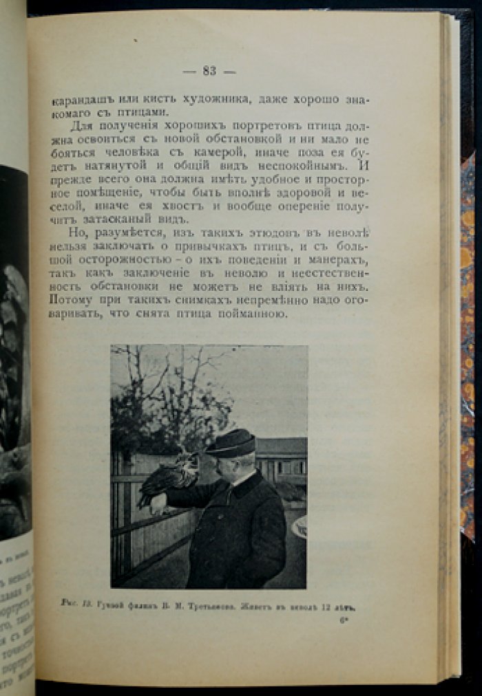 Охота с камерой: фотографирование живой природы. Фотографические приборы и процессы (в двух частях)