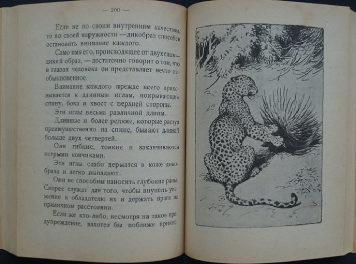 Чеглок А. По Африке: рассказы о жизни животных (иллюстрации В. Ватагина)