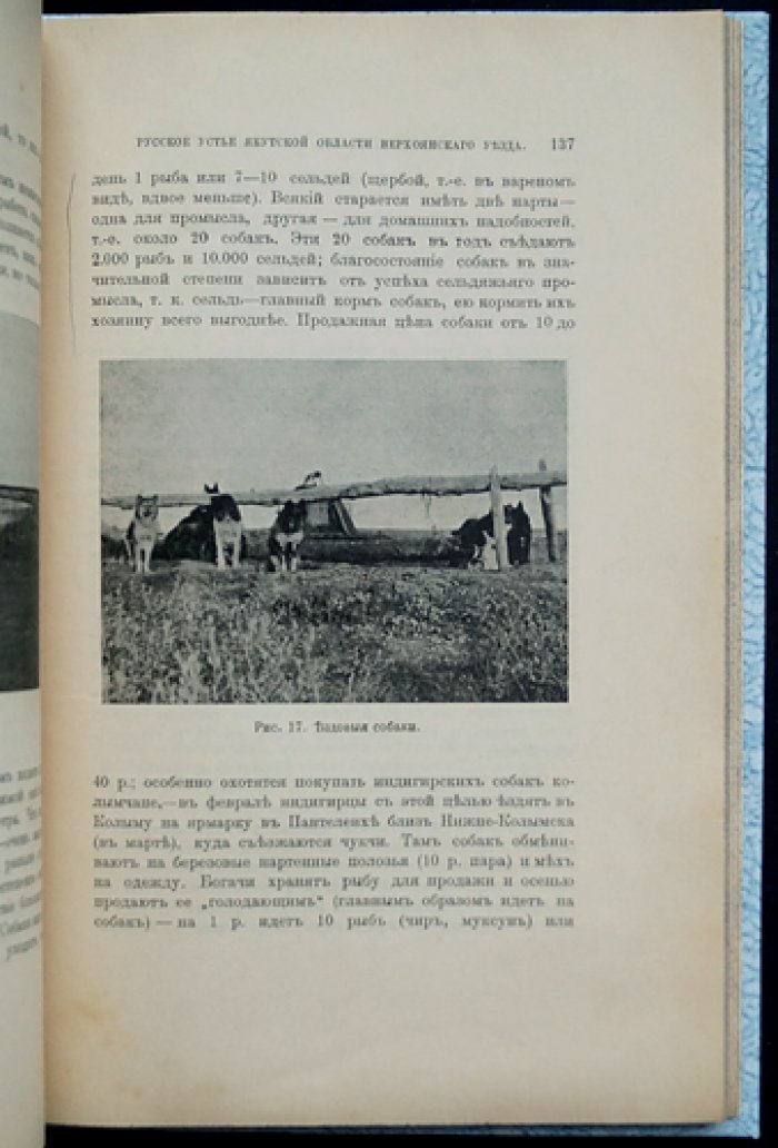 Русское Устье Якутской области (Верхоянский округ). Этнографический очерк с рисунками