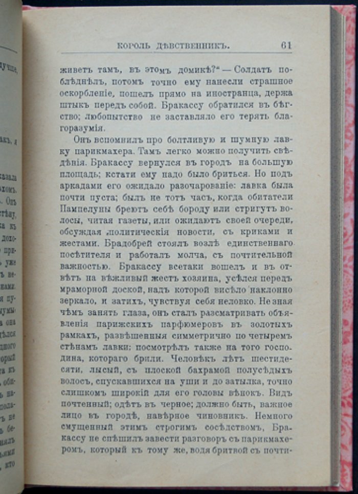 Король-девственник (исторический любовный роман)