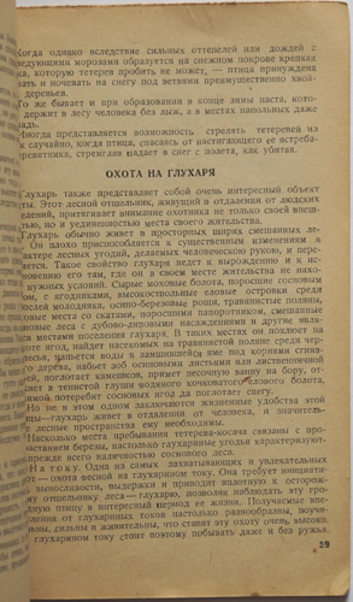Охота по перу. Охота на водоплавающую, болотную, лесную и степную дичь