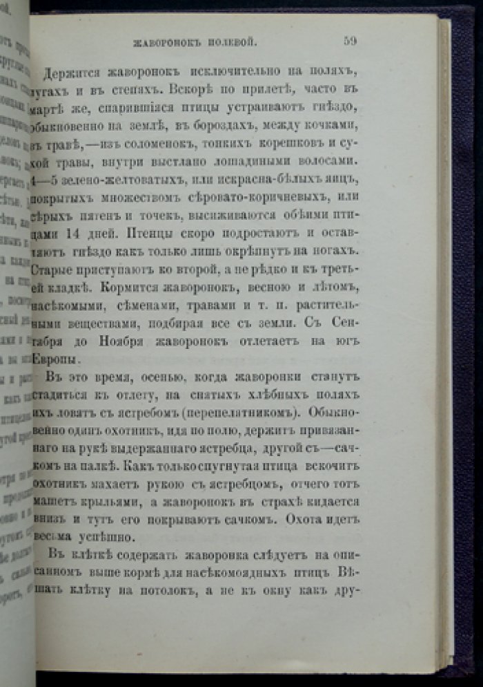 Наши певчие птицы: их ловля и содержание в клетках (из записок московского охотника)