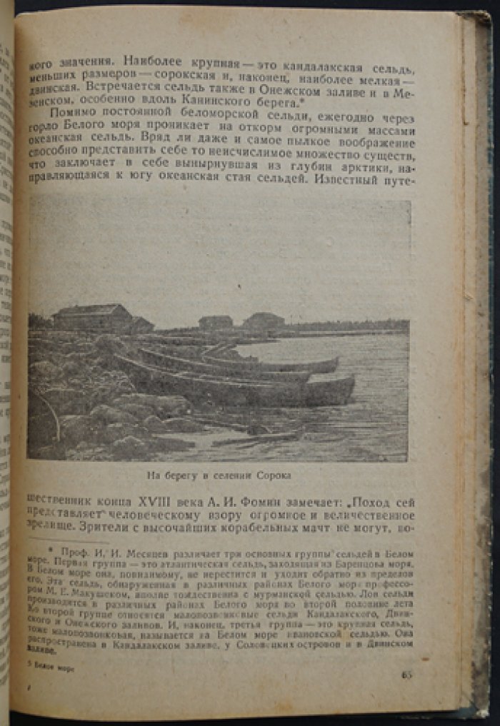 Белое море: общий очерк и естественно-исторические наблюдения (по материалам исследования)