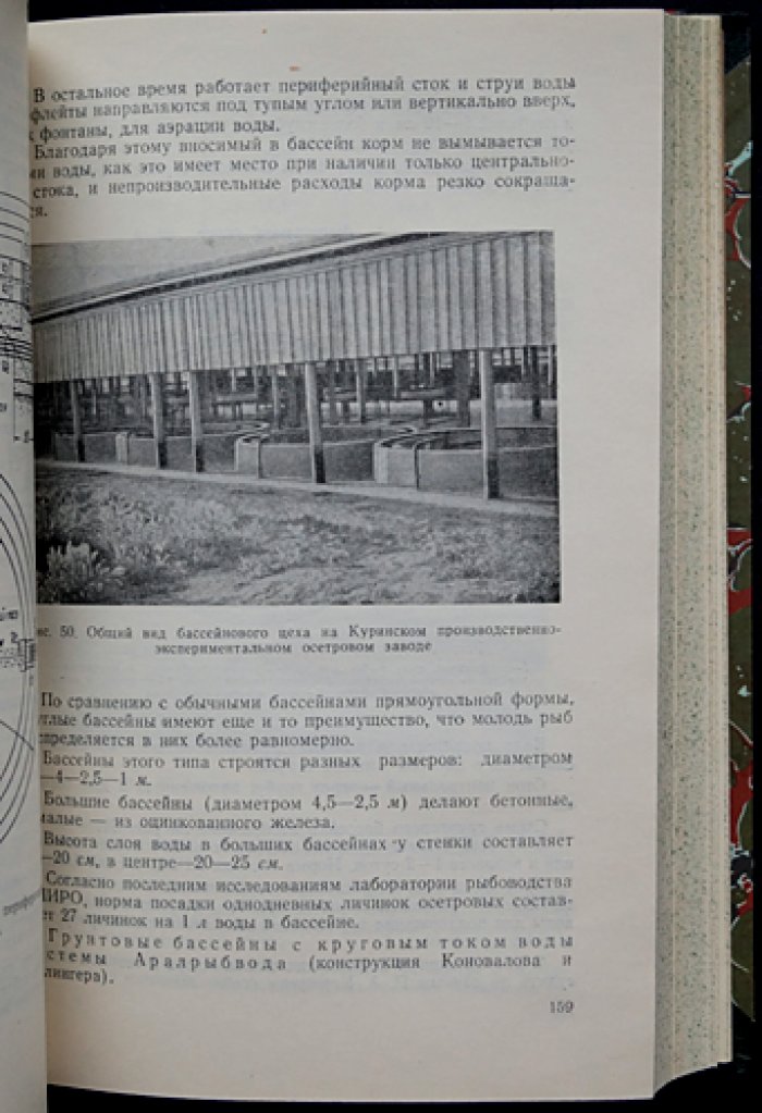 Рыбоводство в естественных водоёмах. Теория и практика (3-е издание, переработанное и дополненное)