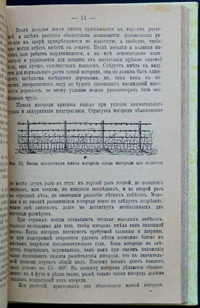 Декоративный дачный и усадебный сад. Практическое руководство по планировке, посадкам и уходу