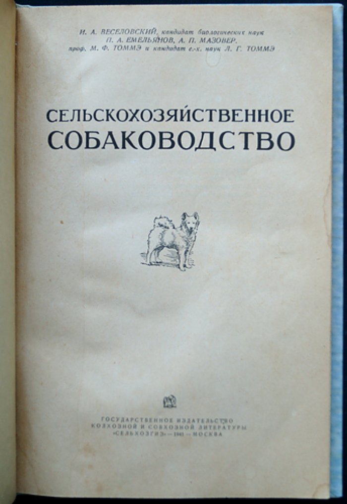 Сельскохозяйственное собаководство: породы, кормление, содержание и дрессировка служебных пастушьих и караульных собак