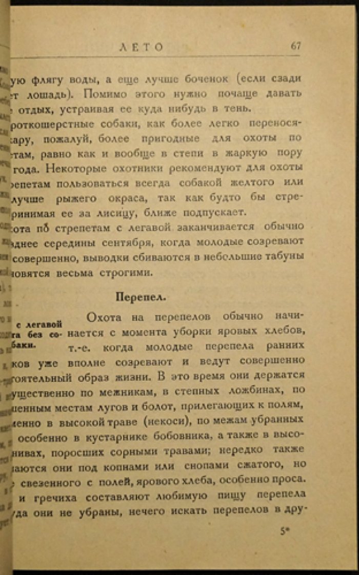 Рахманин. Четыре сезона ружейной охоты: как охотиться на птицу и зверя в течение года