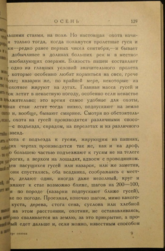 Рахманин. Четыре сезона ружейной охоты: как охотиться на птицу и зверя в течение года