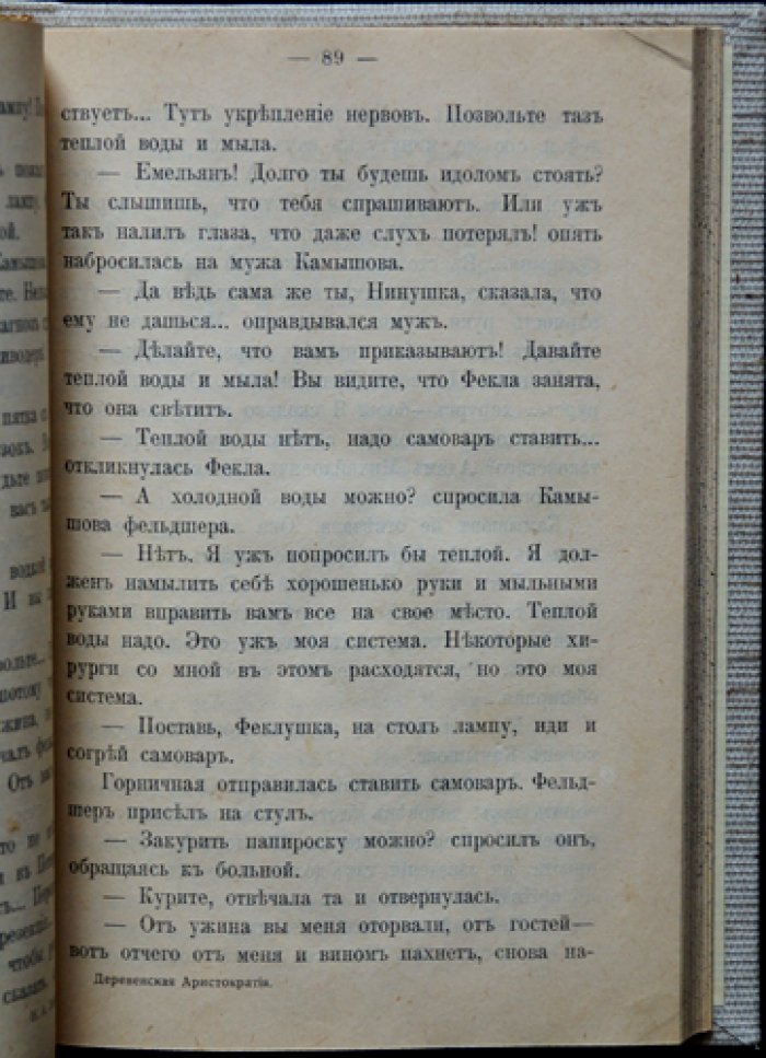 Деревенская аристократия: очерки сельской жизни