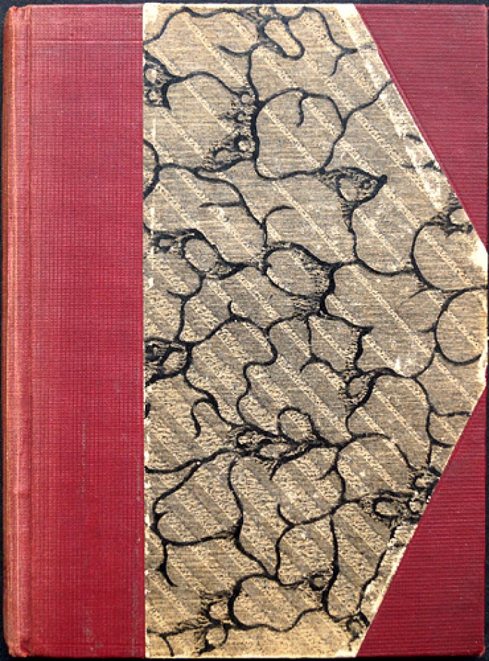 Кугель А. Р. (Homo Novus). Листья с дерева: литературные воспоминания (вторая часть)