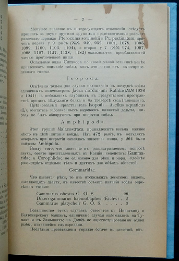 Питание воблы (труды Астраханской ихтиологической лаборатории). Том 3, выпуск 4